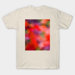 Rainbow Soup T-Shirt